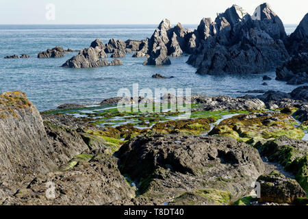 La bouche de Bennett, Bull Point, North Devon, UK Banque D'Images