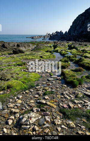 La bouche de Bennett, Bull Point, North Devon, UK Banque D'Images