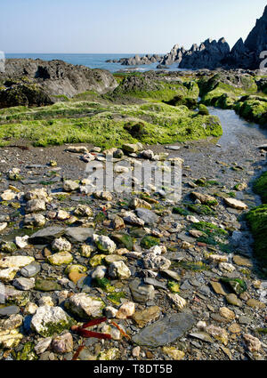 La bouche de Bennett, Bull Point, North Devon, UK Banque D'Images