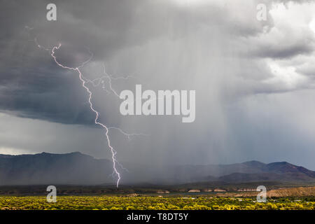 Éclair lumineux coup de boulon avec des nuages sombres et de fortes pluies d'un orage approchant près de Roosevelt Lake, Arizona Banque D'Images