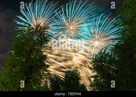 D'artifice colorés comme les trois blue fire flower derrière les arbres verts Banque D'Images