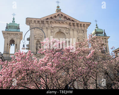 Magnolia fleurs dans la place en face de l'église néo-baroque avec deux clochers. Milan - Italie Banque D'Images