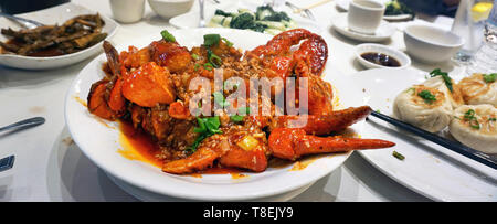 Plus de trois livres de homard du Maine style asiatique chinois cuit. Banque D'Images