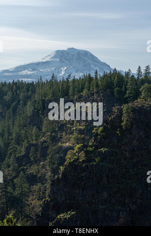 Snowy Mt Adams Vue, côté est, sur une journée de printemps ensoleillée falaise couverte ; arbre en premier plan Banque D'Images