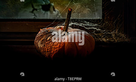 Résumé La vie toujours afficher la fenêtre par citrouille pourri couvert de filet araignée vu de côté, et un crâne de l'autre côté - Halloween c Banque D'Images