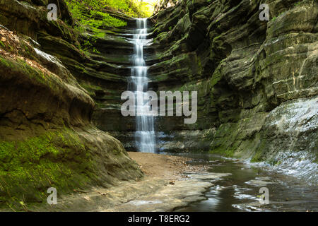 Au début du printemps en français Canyon, Starved Rock State Park, Illinois. Banque D'Images