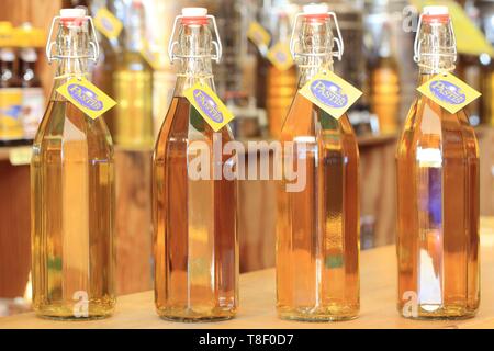 France, Bouches du Rhône, Marseille, Vieux Port, La Maison du pastis distribue une centaine de pastis et absinthes, ici 4 pastis faites par la chambre Banque D'Images