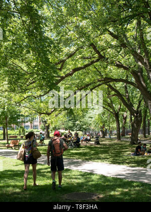 Sir Wilfrid Laurier Park est un parc urbain à Montréal, Québec, Canada. Banque D'Images