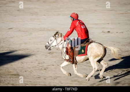 L'Inde, l'état de Jammu-et-Cachemire, Ladakh, Himalaya, vallée de l'Indus, Leh, joueur de polo sur son cheval lors d'un concours organisé au cours de l'assemblée annuelle du Festival du Ladakh Banque D'Images