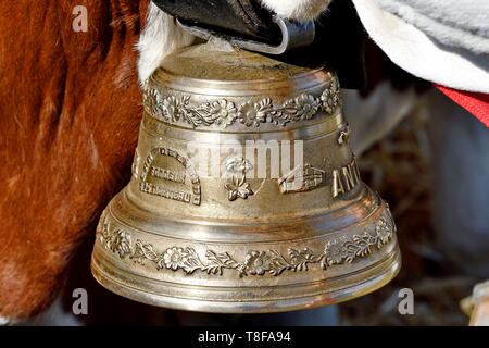 France, Doubs, les ecorces, foire agricole, bell accroché au cou d'une vache vaches montbéliardes exclusivement Banque D'Images