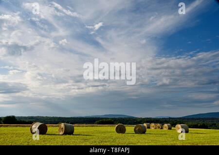 France, Doubs, l'ECOT, plateau, les balles de foin Banque D'Images