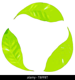 Image de l'amélioré numériquement logo de recyclage créé avec une photo de trois feuilles vertes sur fond blanc Banque D'Images