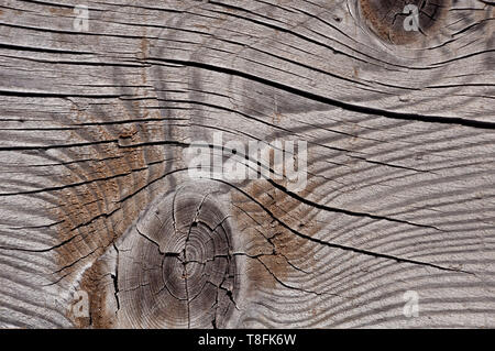 Photo de texture gris, usés, minable, vieux bois fissuré et qui a été exposée aux intempéries et bien des années et qui montre des noeuds et anneaux de croissance. Banque D'Images