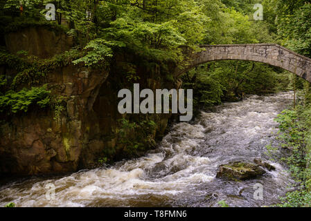 Bodetal bei Thale, Sachsen-Anhalt, Allemagne Banque D'Images