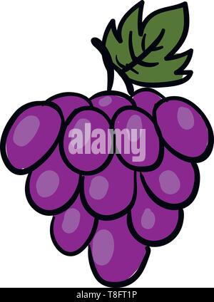 Un tas de raisins violets avec une seule feuille verte en forme de palmier de nervation parallèle sur un court pédoncule vert isolé set fond blanc vu de l'e Illustration de Vecteur