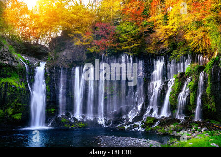 Chute d'eau Shiraito au Japon. Banque D'Images