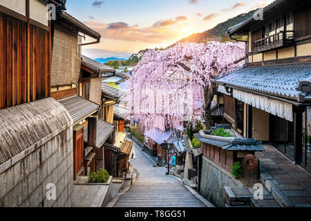 Fleur de cerisier au printemps lors de l'historique quartier Higashiyama, Kyoto au Japon. Banque D'Images