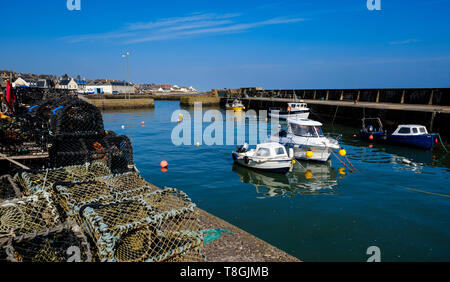 Le port au village côtier de Johnshaven dans Aberdeenshire, Ecosse Banque D'Images