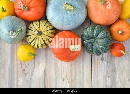 Citrouilles et courges sur les planches de bois. Automne fond Banque D'Images