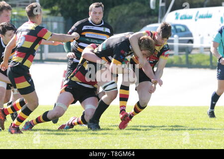 Carmarthen Quins V Merthyr RFC Banque D'Images