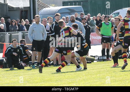 Carmarthen Quins V Merthyr RFC Banque D'Images