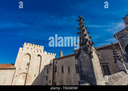Dômes de toit sur le Palais des Papes à Avignon, France Banque D'Images