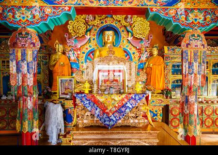 L'Inde, l'état de Jammu-et-Cachemire, Ladakh, Himalaya, vallée de l'Indus, Mâtho monastère (Gompa), à l'intérieur statue de Bouddha Sakyamuni Dukang Somar (nouvelle salle de culte) Banque D'Images