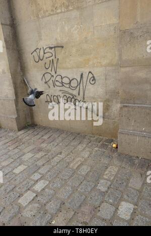 France, Paris, Porte Saint Martin, Pigeon volant le long un graffiti Banque D'Images