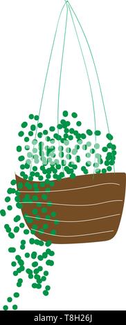 Des plantes vertes en pot de fleurs, illustration, vecteur sur fond blanc. Illustration de Vecteur