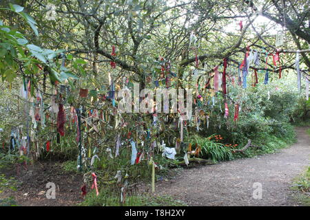 païen arbre clodgy par le madron souhaitant bien et chapelle du madron Banque D'Images