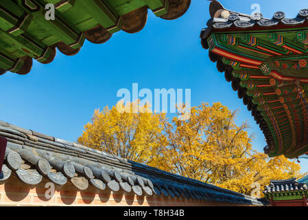 Détail de toit traditionnel coréen avec arbre ginkgo jaune en automne saison à Gyeongbokgung, Séoul, Corée du Sud Banque D'Images