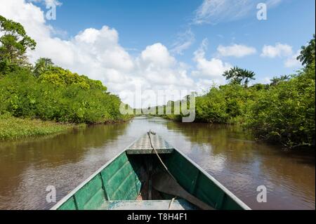 France, Guyane, Cayenne, la Réserve Naturelle des Marais de Kaw Kaw, rivière, petit bateau de croisière Banque D'Images