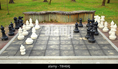 Grand conseil d'échecs avec d'énormes morceaux dans le parc Banque D'Images