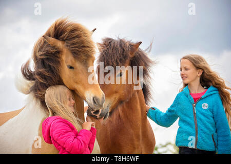 Cheval islandais. Deux filles smooching avec deux chevaux adultes. L'Autriche Banque D'Images