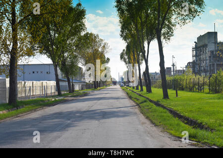 Longue route dans la zone industrielle près de l'usine chimique. La nature essaie de résister il y Banque D'Images