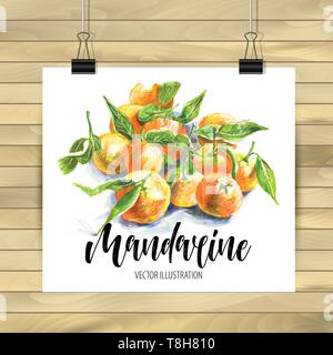 Ensemble de la main d'orange avec la texture. L'élément alimentaire collection. Vector illustration de mandarines avec des feuilles. Éléments du vecteur coloré floral Illustration de Vecteur