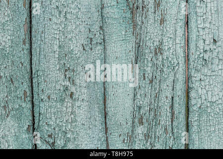 En bois peint vert patiné fissurée texture conseil Banque D'Images