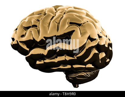 Cerveau brillant doré isolé sur un fond blanc. 3D illustration. Banque D'Images