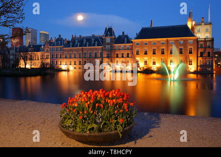 Réflexions du Binnenhof sur le Hofvijver lac au crépuscule pendant l'heure bleue, avec tulipes colorées au premier plan, La Haye, Pays-Bas Banque D'Images