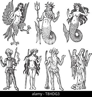 Créature mythique de l'héraldique en style vintage. Armoiries gravées avec des animaux, oiseaux, poissons, harpy, chevalier. Emblèmes médiévale et le logo de la Illustration de Vecteur