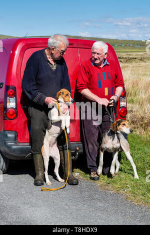 Faites glisser Hunt réunion de courses, Valentia Island, comté de Kerry, Irlande Banque D'Images