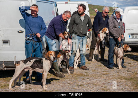 Faites glisser Hunt réunion de courses, Valentia Island, comté de Kerry, Irlande Banque D'Images