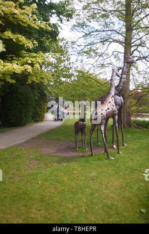 Sculptures métalliques, des girafes dans Burnby Hall Gardens, Pocklington, East Yorkshire, UK, FR. Banque D'Images