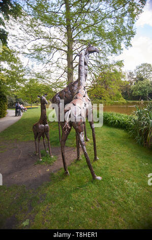 Sculptures métalliques, des girafes dans Burnby Hall Gardens, Pocklington, East Yorkshire, UK, FR. Banque D'Images