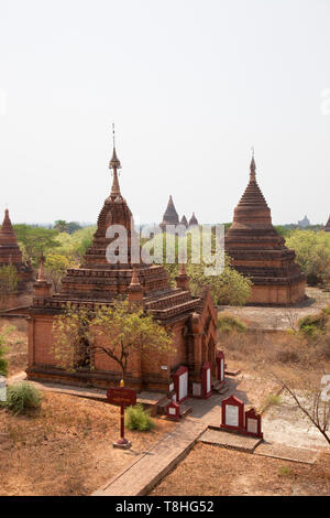 Avis de stupas et temples près de Alotawpyae temple, ancienne Bagan Nyaung U et village, région de Mandalay, Myanmar, en Asie Banque D'Images