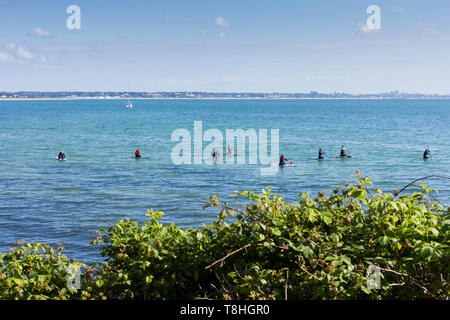 Paddleboarders Studland Bay, en paddleboarding, Dorset, Angleterre, Royaume-Uni Banque D'Images