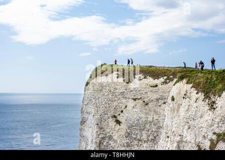 Les gens en haut de Old Harry Rocks, Handfast Point, Studland, à l'île de Purbeck, Jurassic Coast, Dorset, Angleterre, Royaume-Uni Banque D'Images