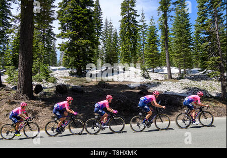 Lake Tahoe, CA, USA. 13 mai, 2019. EF Education First de l'équipe grimpe montagne pendant la deuxième phase de l'Amgen Tour de Californie le lundi, 13 mai 2019 à Lake Tahoe. Crédit : Paul Kitagaki Jr./ZUMA/Alamy Fil Live News Banque D'Images
