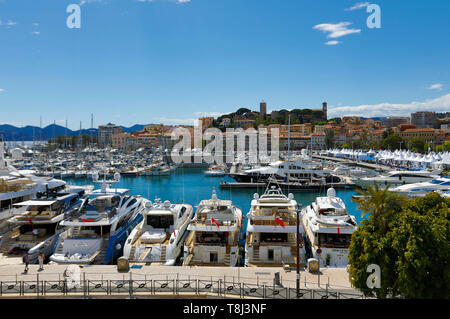 Cannes, Frankreich. 13 mai, 2019. La marina pendant le Festival de Cannes 2019/72ème Festival International du Film de Cannes au Palais des Festivals. Cannes, 13.05.2019 | Conditions de crédit dans le monde entier : dpa/Alamy Live News Banque D'Images