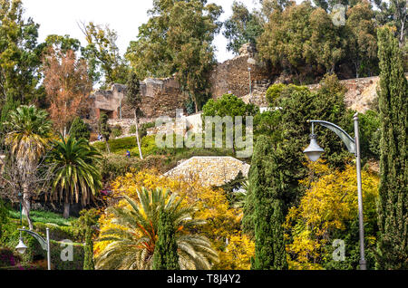 Beau parc tropical de Malaga près de la mairie. Andalousie, Costa del Sol, au sud de l'Espagne Banque D'Images
